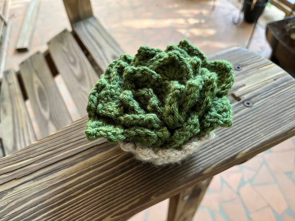 Crochet Succulent Coaster Set with Holder