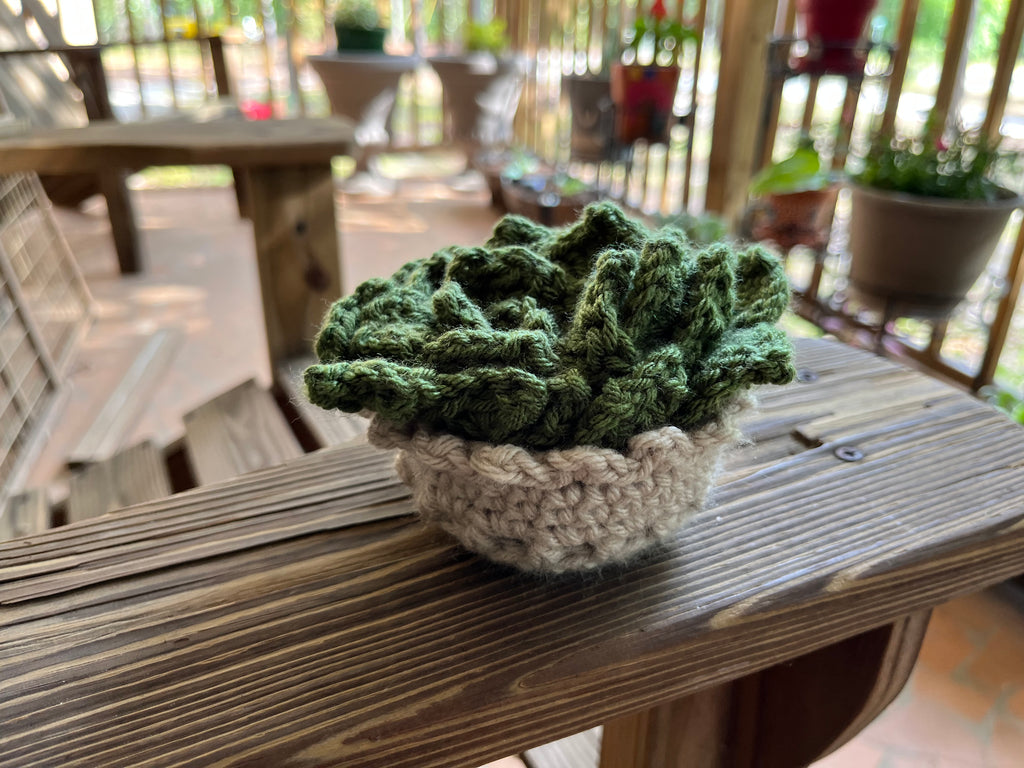 succulent coaster set crochet Crochet Succulent Coaster Set with Holder – Blue River Creations LLC