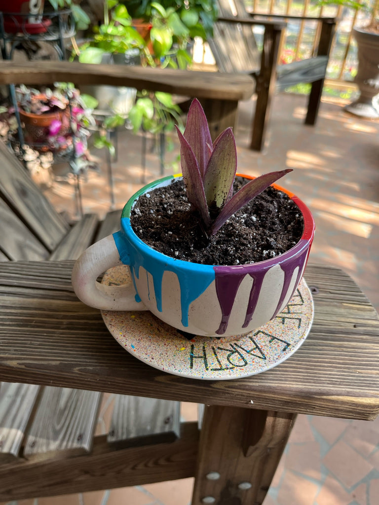 Paint Drip Cup Planter